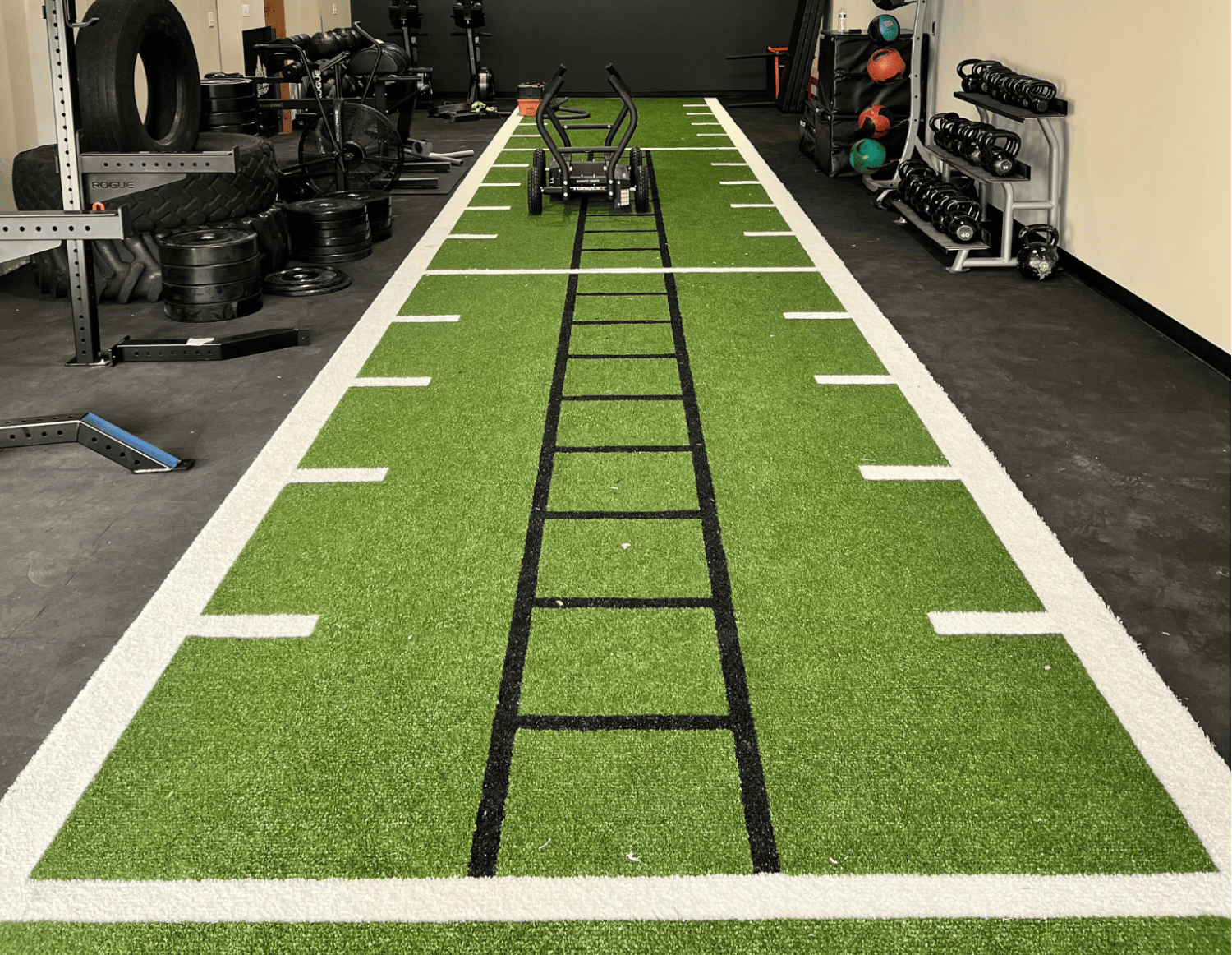 Read more about the article Functional Training on an Indoor Turf Area